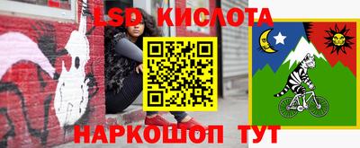 гашик Можайск