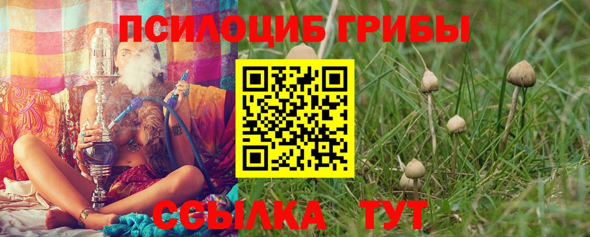 Галлюциногенные грибы мицелий Углич
